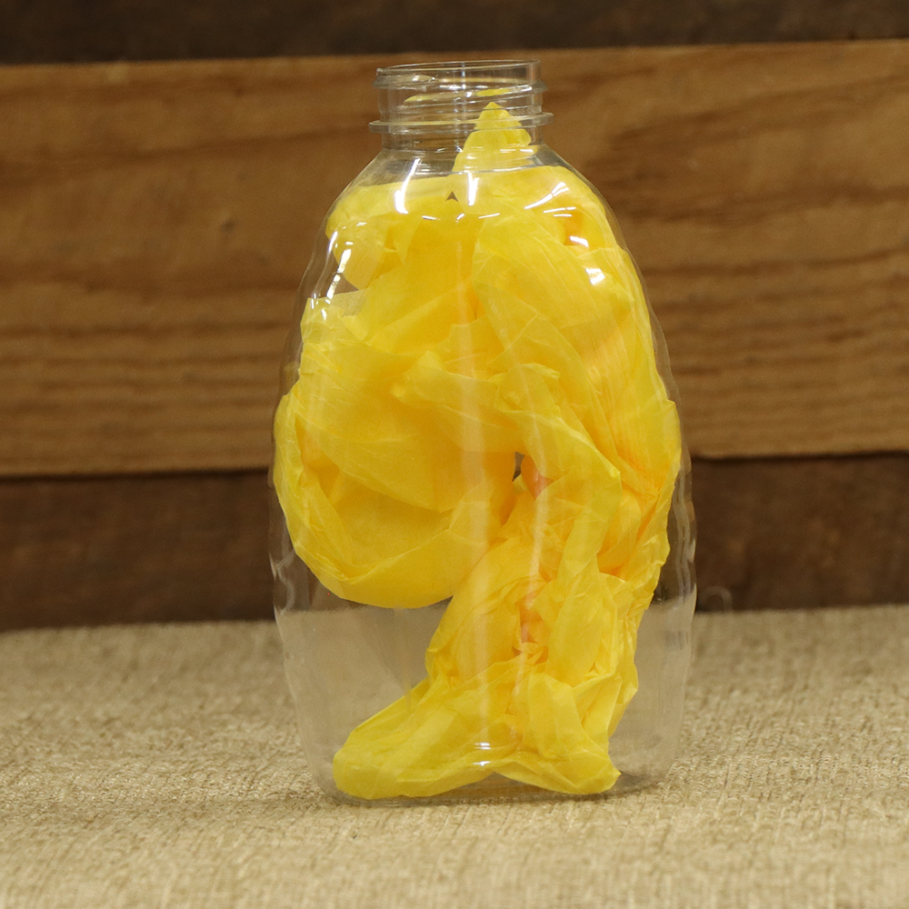 2 lb Classic Plastic Jar - 12 Pack