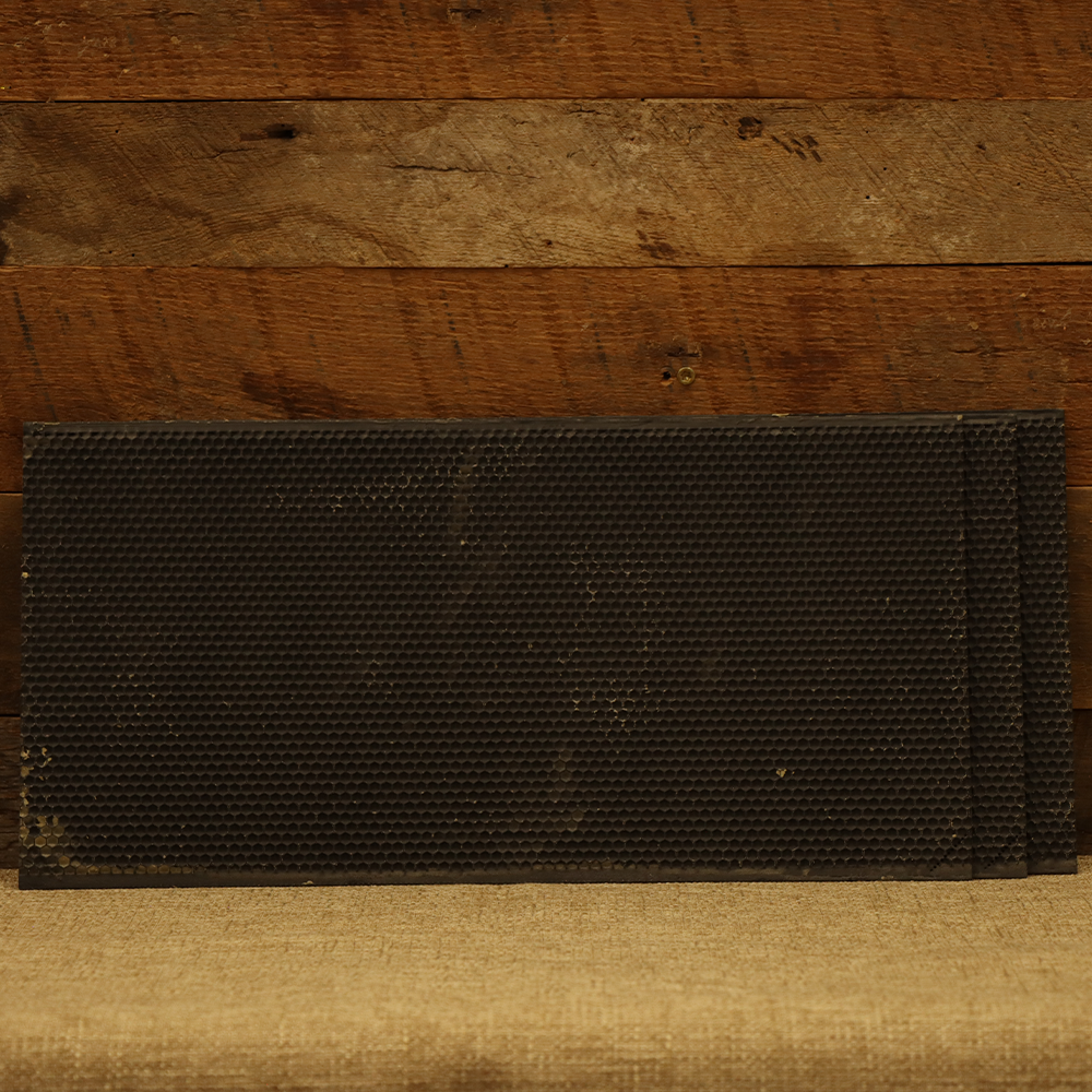 Acorn Waxed Plastic Foundation