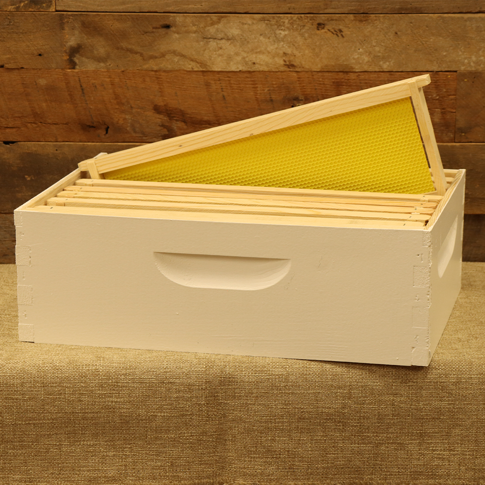 Assembled 6 5/8" Honey Super w/ 8 Frames