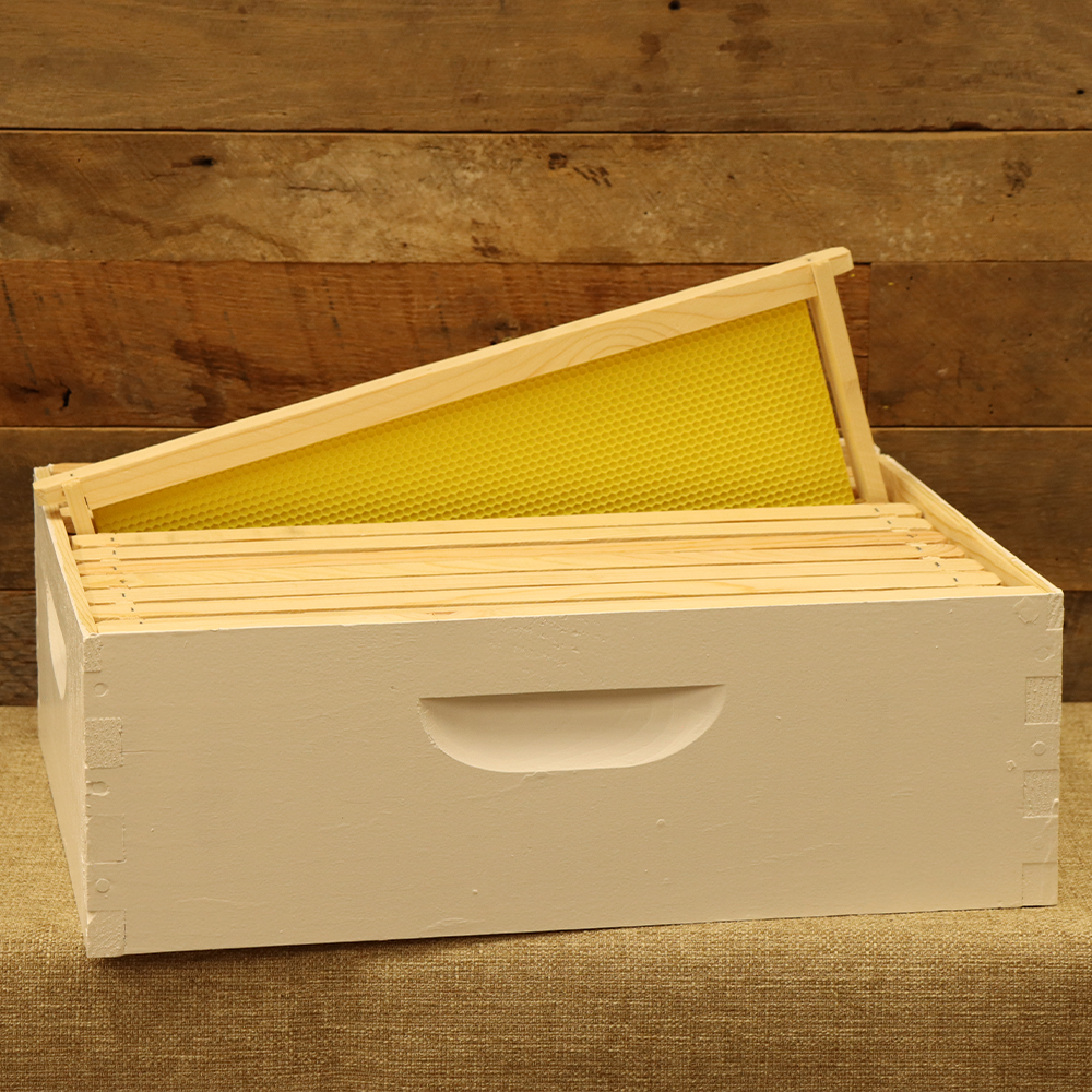 Assembled 6 5/8" Honey Super w/ 10 Frames