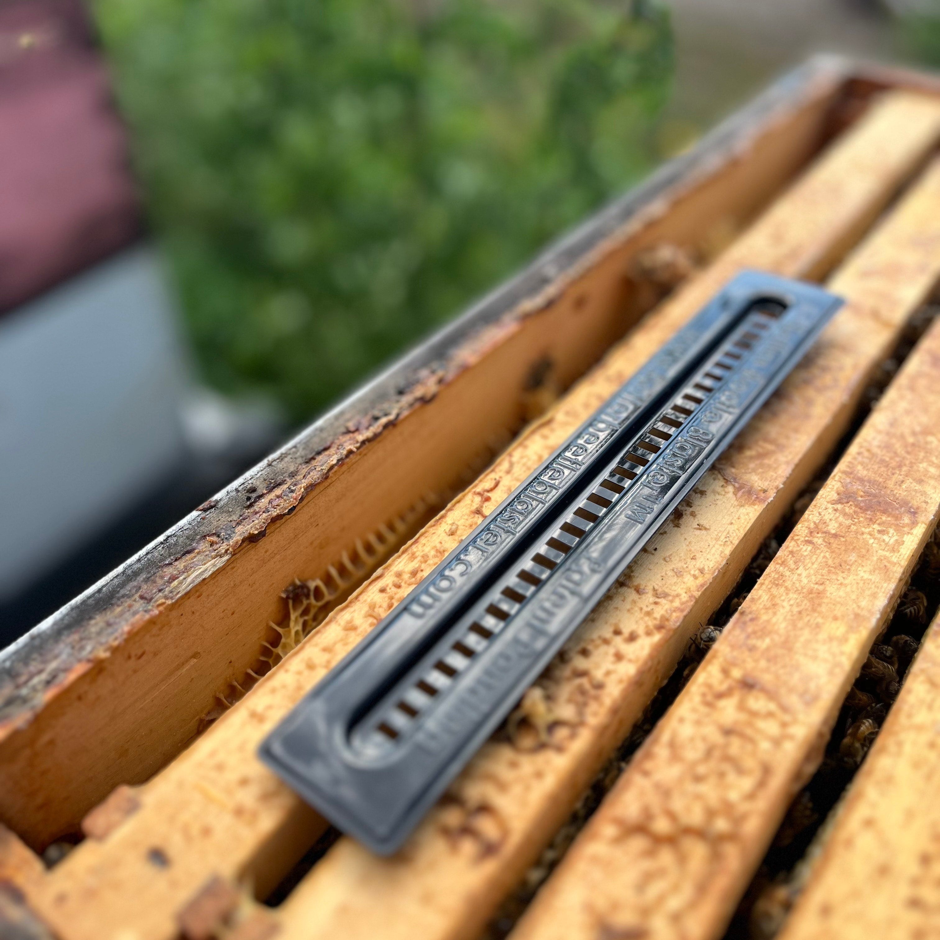 Cutts Beetle Blaster