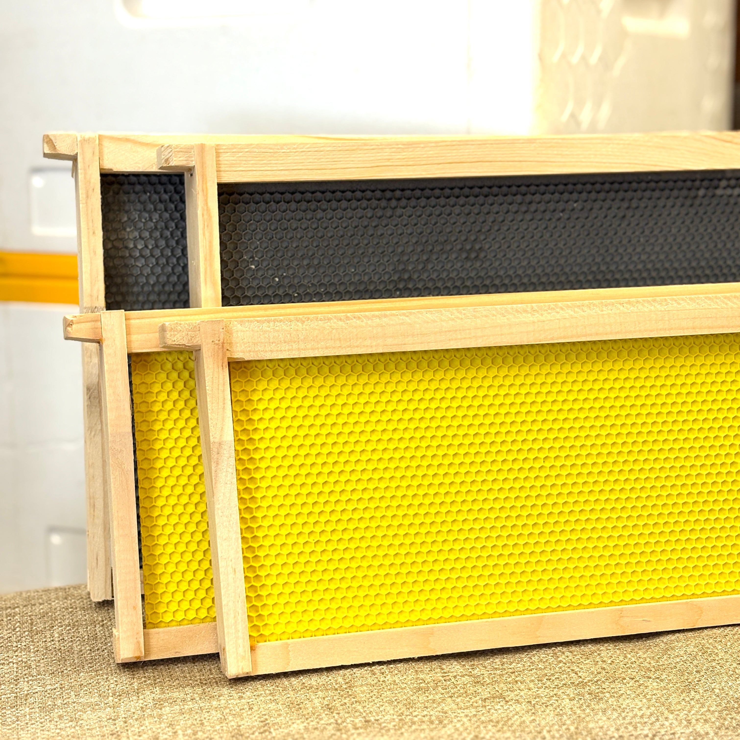 USA Hive IQ Frame Bundle