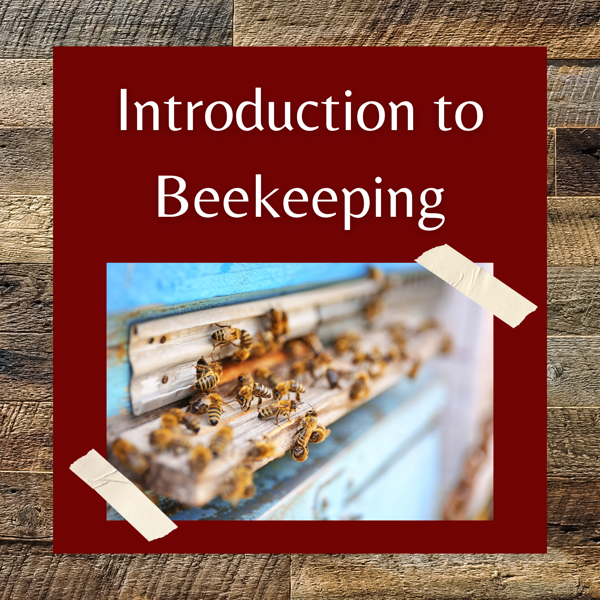 geared towards Introduction to Beekeeping Class