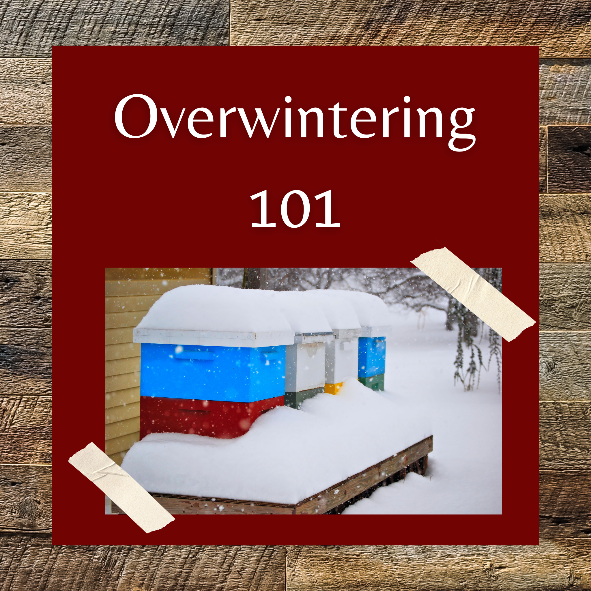 Overwintering 101 Class