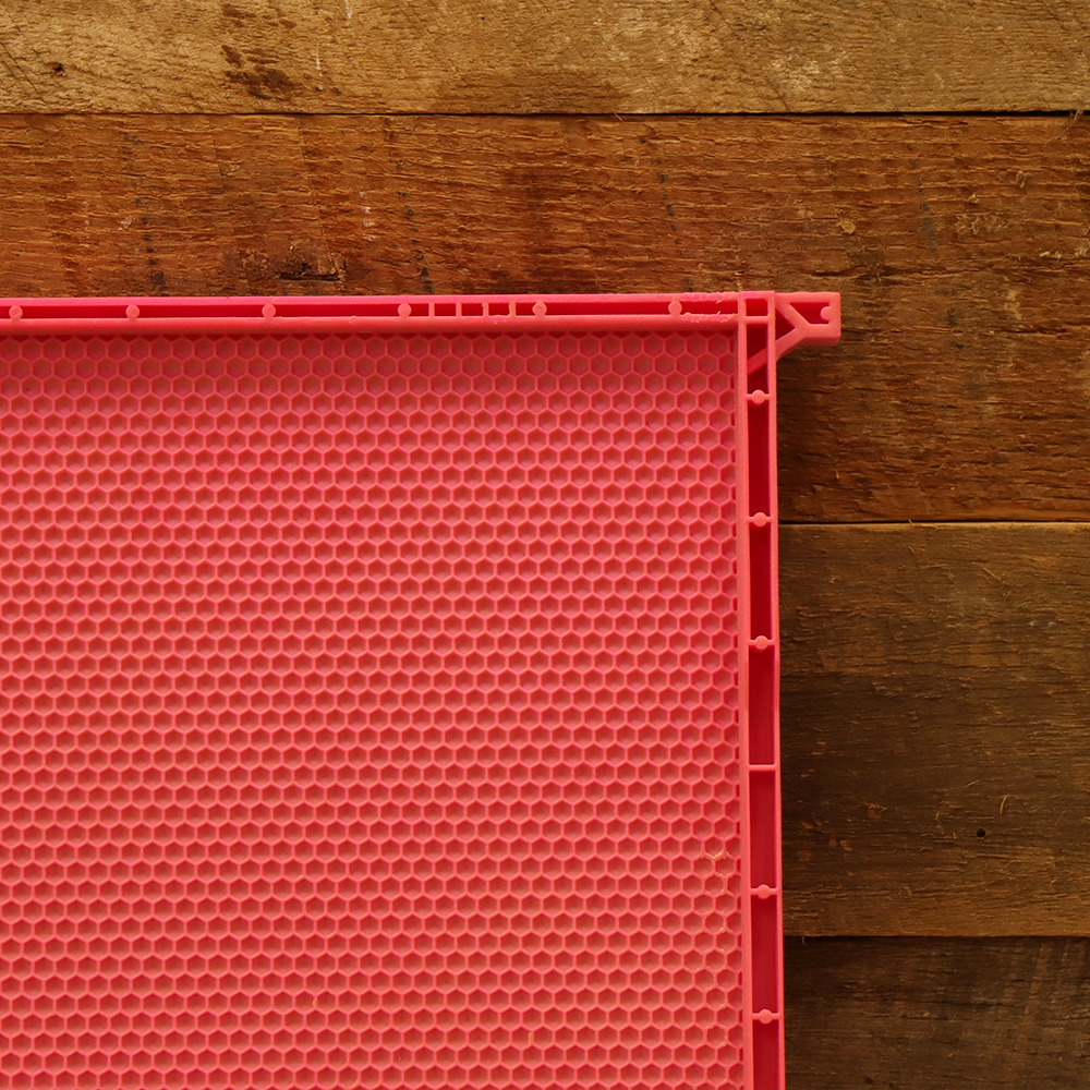 Acorn Heavy Wax Pink Plastic Frame