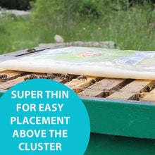 Hive Alive Fondant Case of 15