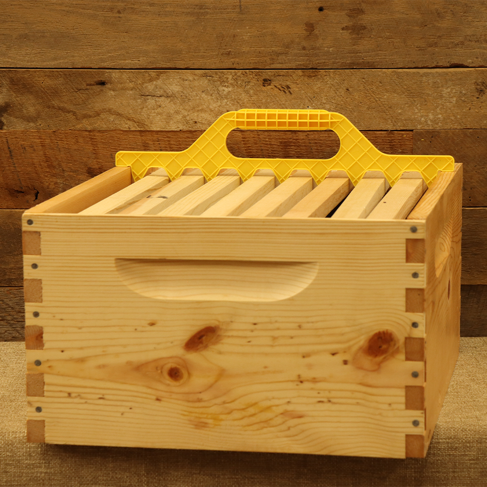 Plastic 8 Frame Spacing Tool