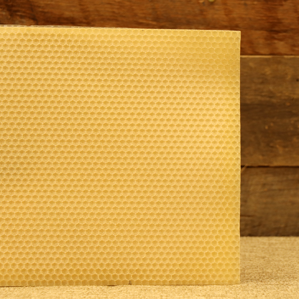 Medium Brood Foundation 8 1/2"