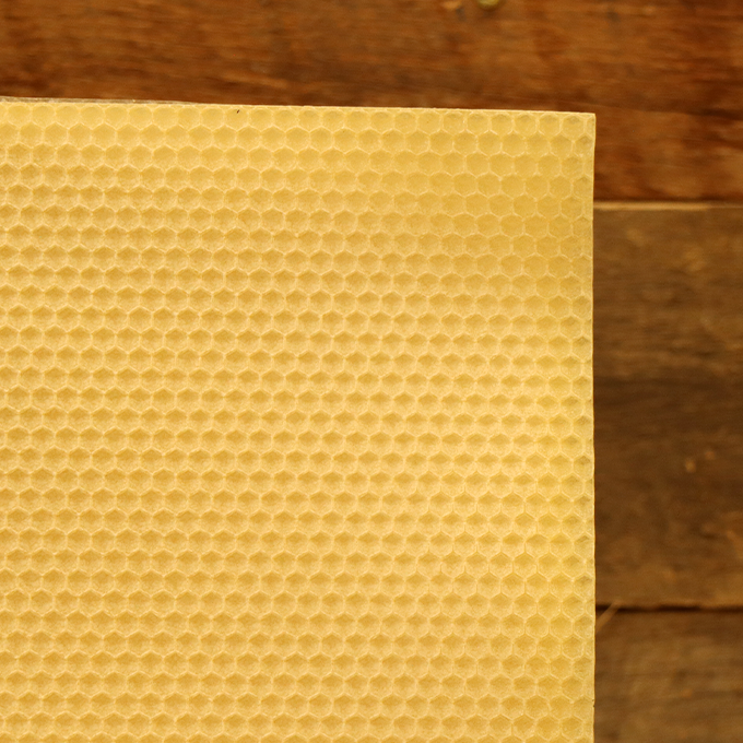 Medium Brood Foundation 5 5/8"