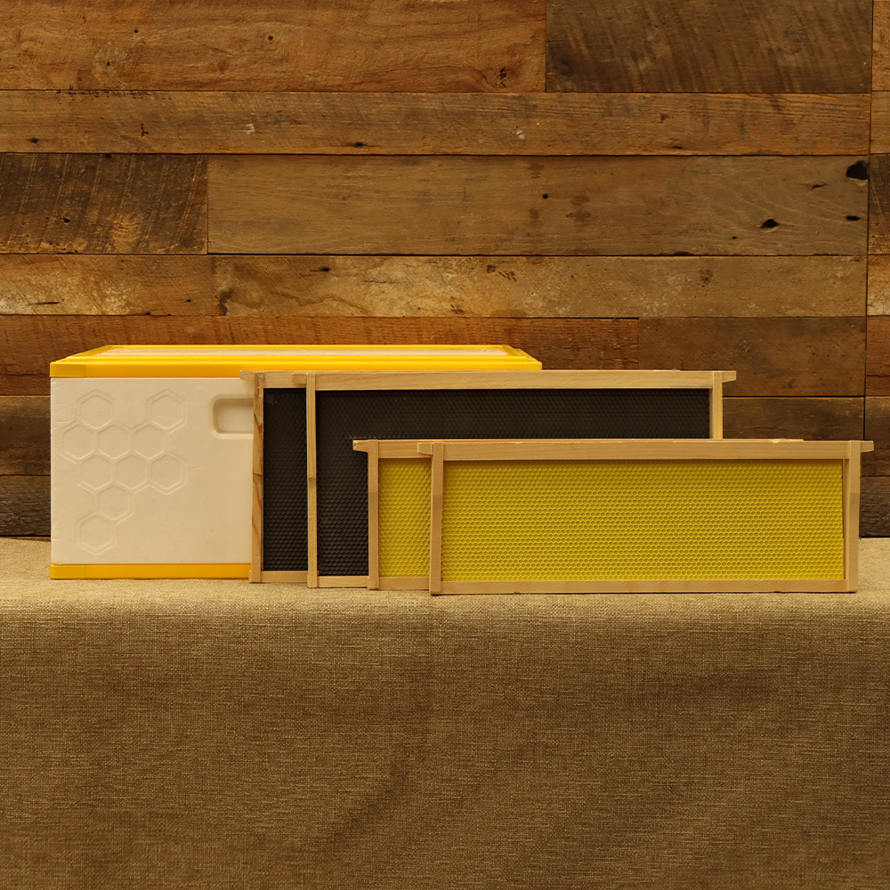 USA Hive IQ Frame Bundle