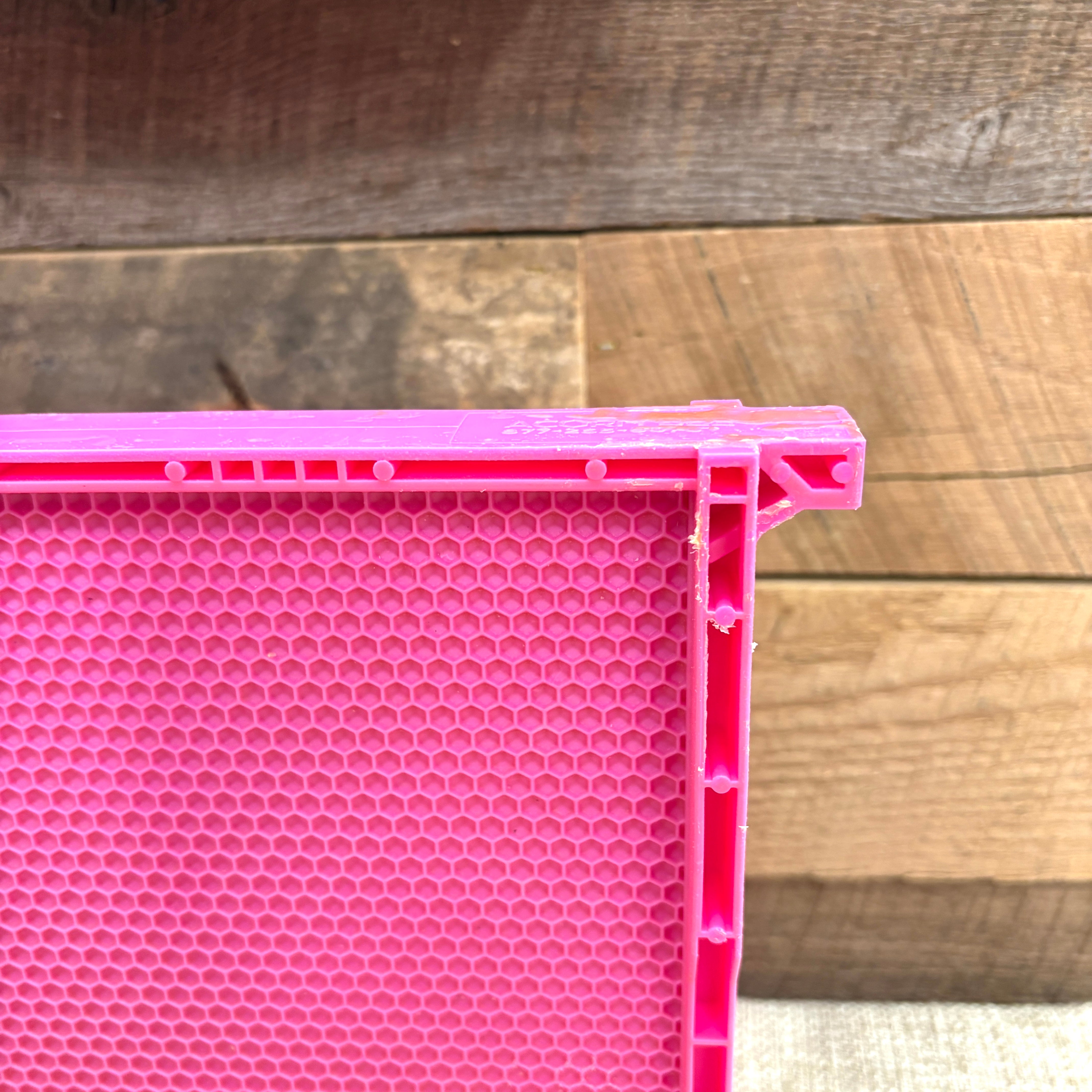 Acorn Heavy Wax Pink Plastic Frame