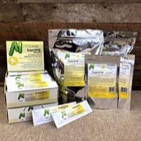 Super DFM - Honeybee