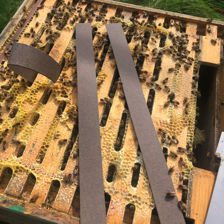 VarroxSan 60 Pack (Pre-Order)