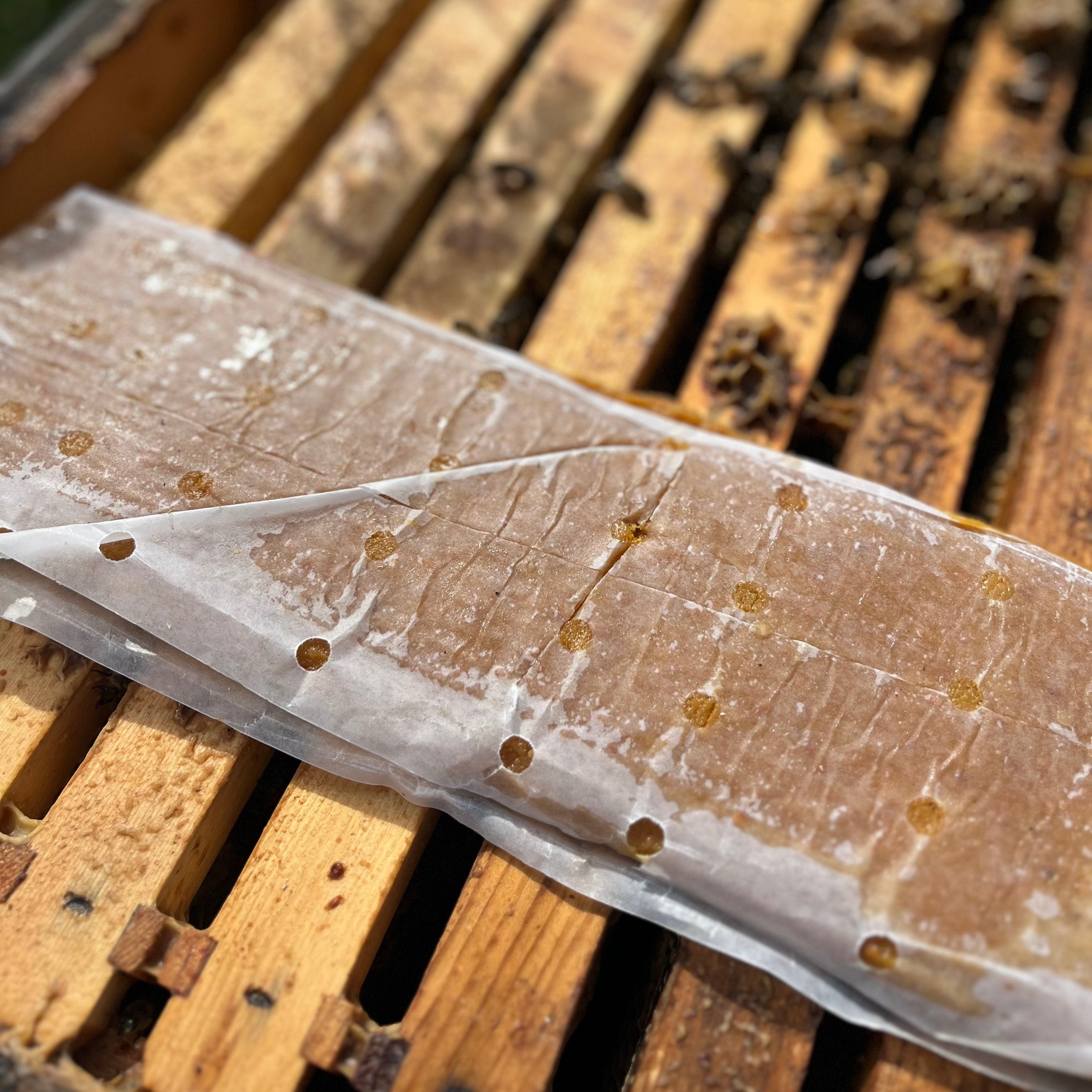 Apis Biologix Patties - 15% Real Pollen