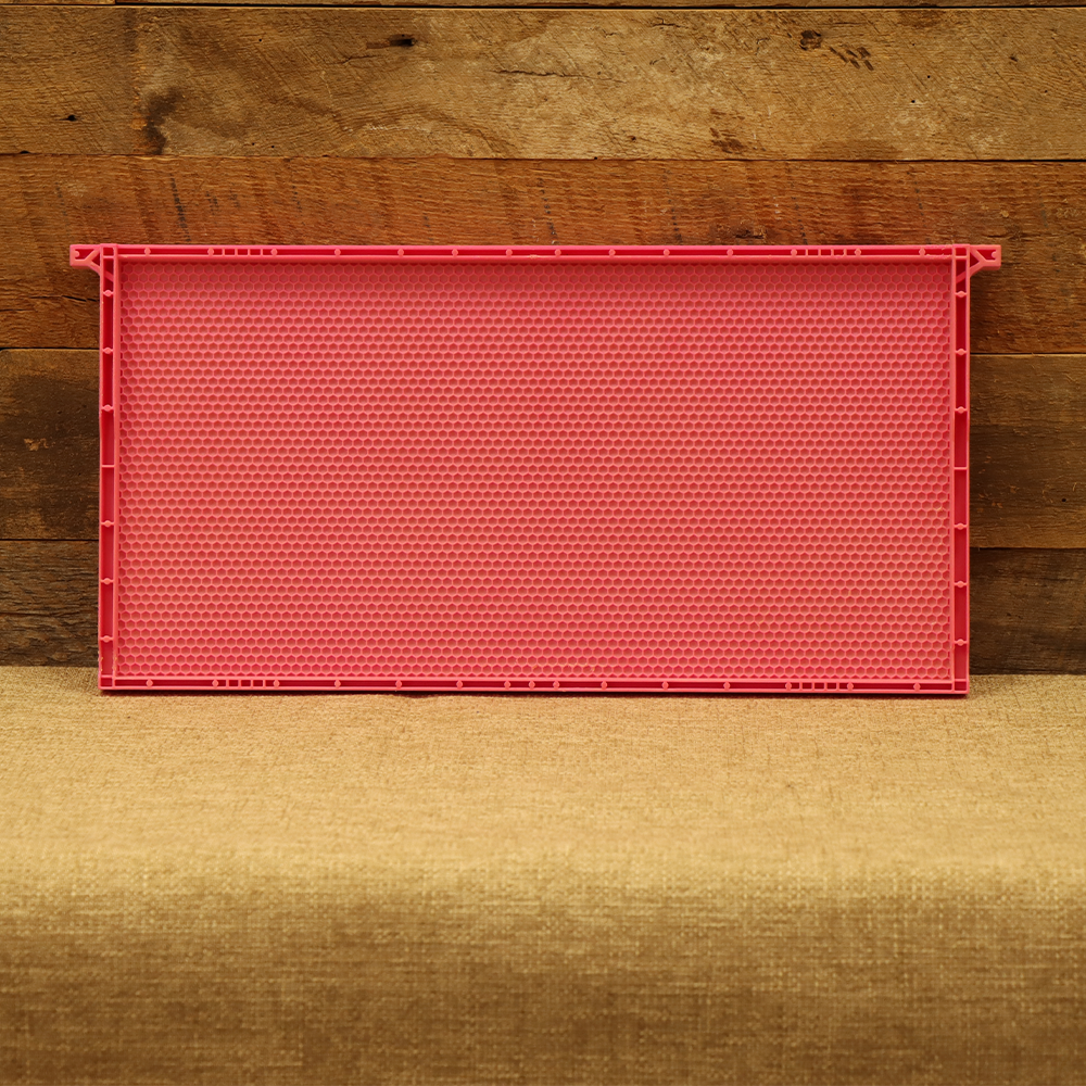 Acorn Heavy Wax Pink Plastic Frame