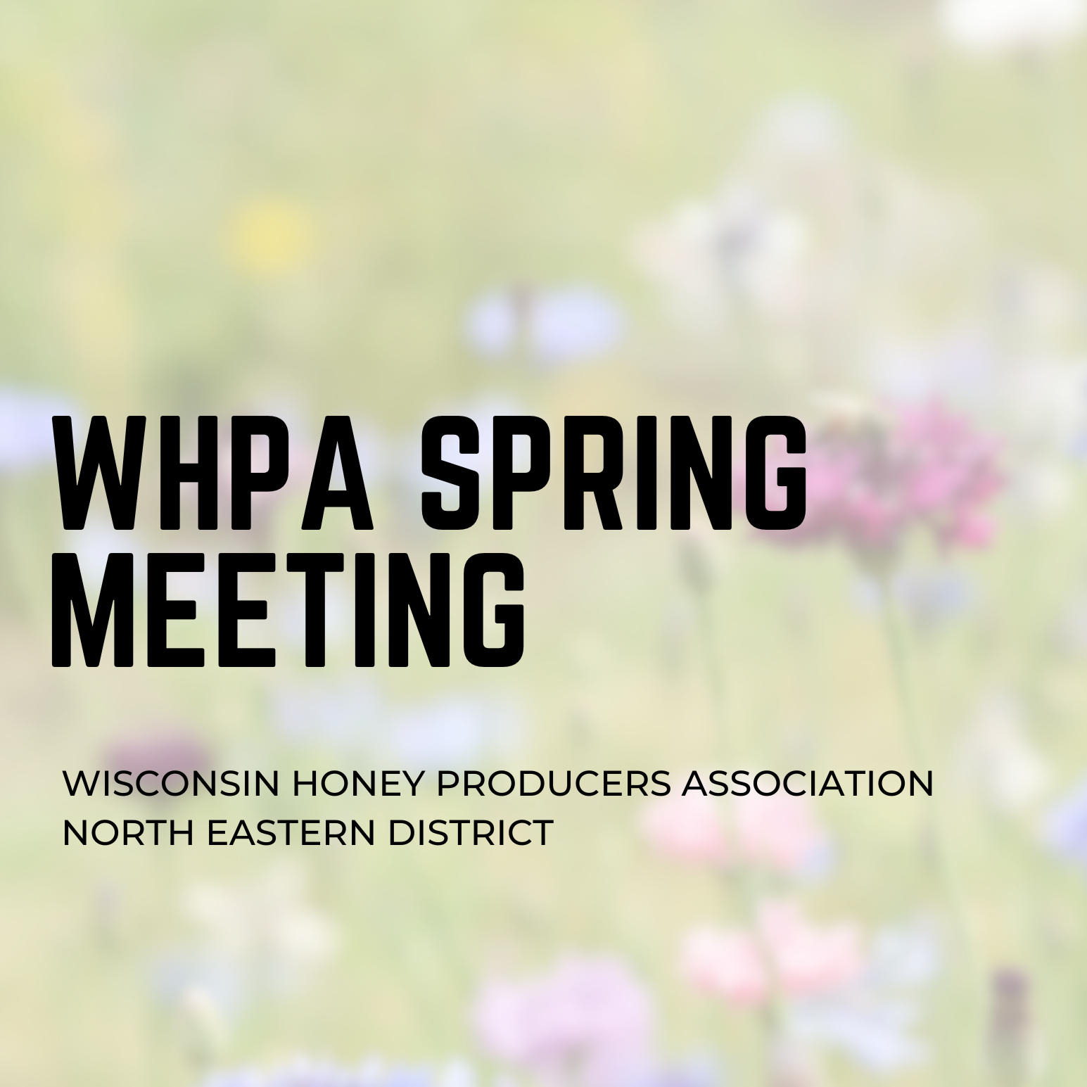 WHPA North Eastern District Spring Meeting