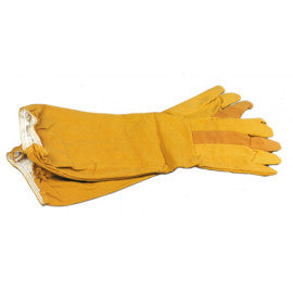 Canvas Gloves