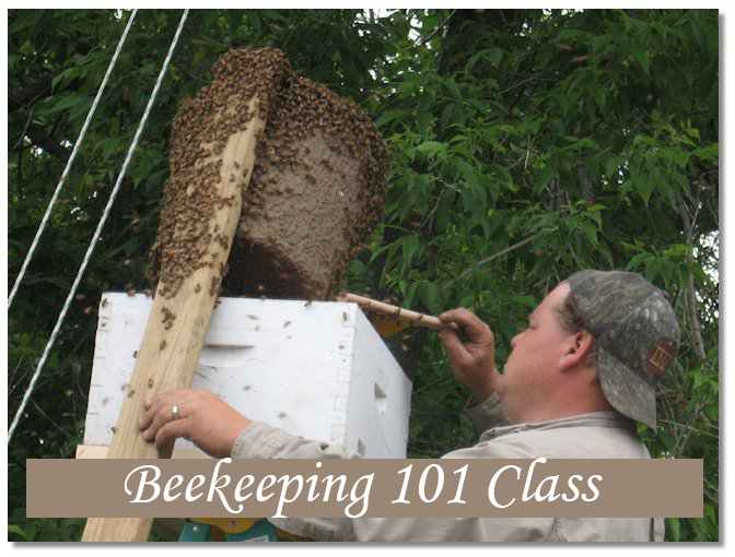 Beekeeping 101 Class