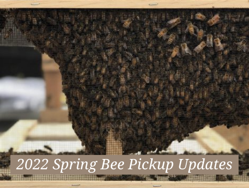 2022 Spring Bee Pickup Updates