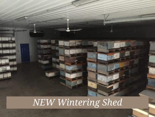 Wintering Shed