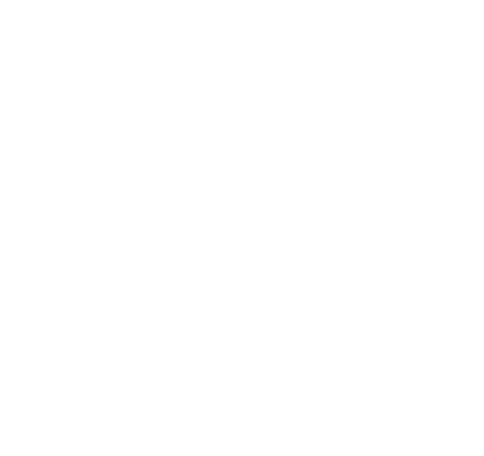 Carolina Reaper Hot Honey (Fire) - Hansen Honey Farm